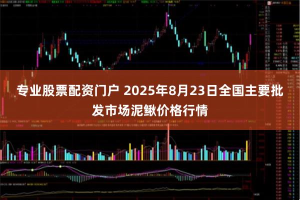 专业股票配资门户 2025年8月23日全国主要批发市场泥鳅价格行情