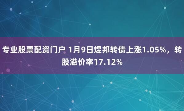 专业股票配资门户 1月9日煜邦转债上涨1.05%，转股溢价率17.12%